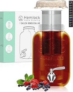 1 Gallon Kombucha Jar Starter Kit with Spigot, Continuous Kombucha Brewing Jar Kit, Glass Kombucha Starter Kit with Stainl…