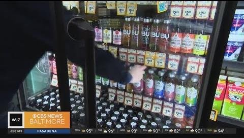 Discover the Best Probiotic Drinks for Gut Health