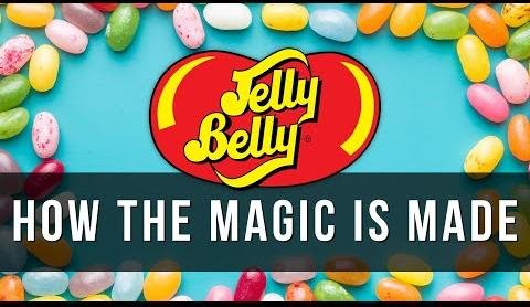 Evolution of Jelly Beans: From Civil War Origins to Modern Delights