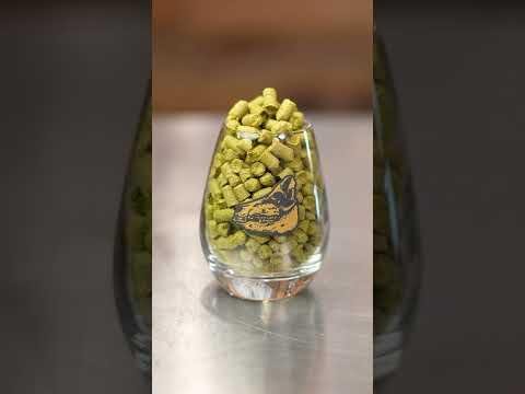 Firstep Beer’s Polymorph IPA Triumphs at King of Craft