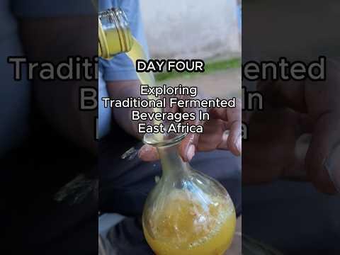 Global Fermenters Market Surges with Rising Beverage Consumption