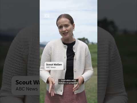 Tsingtao Expands Portfolio with Jimo Yellow Wine Acquisition