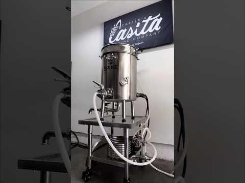 Noosa Home Brew Club Fosters Community and Craft Beer Passion