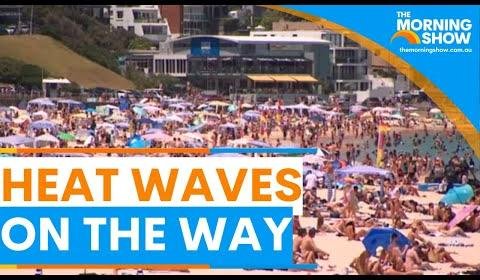 Last Wave Brewing Unveils Tropical Mai Tai and Rakau IPAs