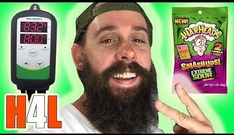 DIY Fermenter Enhances Homebrewing with Precise Temperature Control